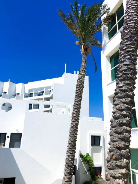 istock Traditional white architecture and standing next to palm trees against the beautiful blue sky in Nahariya, Israel 952844116