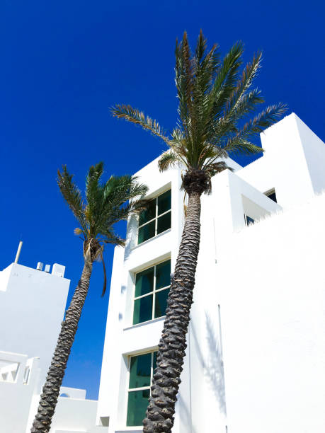 istock Traditional white architecture and standing next to palm trees against the beautiful blue sky in Nahariya, Israel 952844148