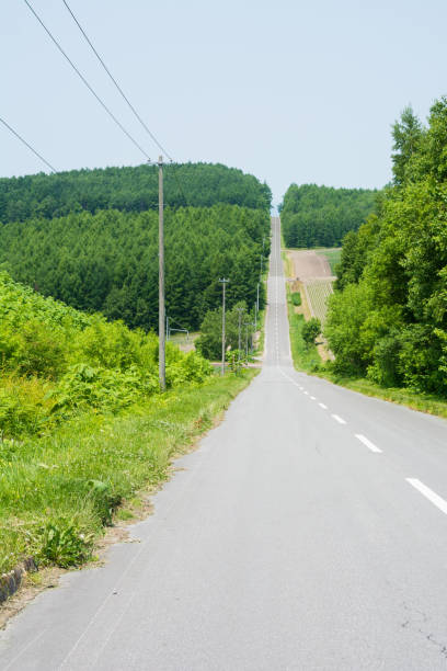 istock Straight road in rural 952844454