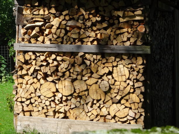 istock orderly piled heap of firewood 952844564