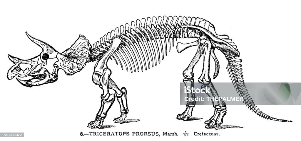 Dinosaur engraving 1894 Johnson's Universal Cyclopedia - Volume VIII New York - A. J. Johnson Company 1894 Bone stock illustration