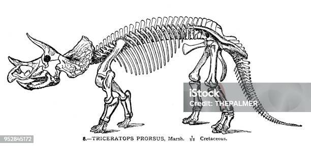 Dinosaur Engraving 1894 Stock Illustration - Download Image Now - Bone, Dinosaur, Animal