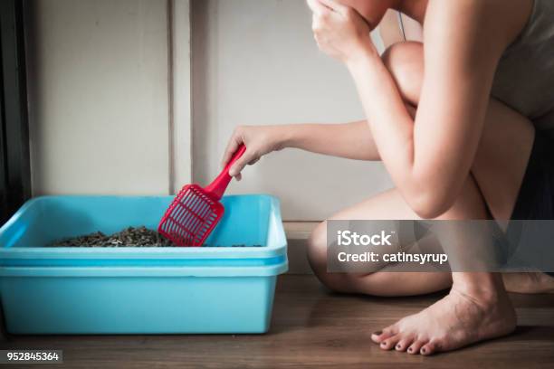 Woman Wearing A Gray Spaghetti Strap Cleaning The Blue Little Box Or Cat Toilet Feeling Stinky Stock Photo - Download Image Now
