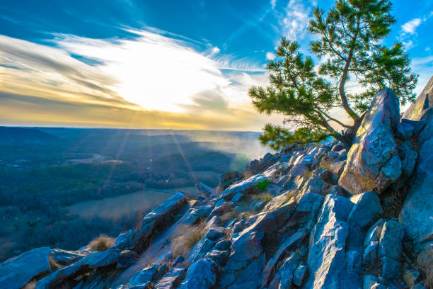 Mary's Rock Trail - Shenandoah National Park