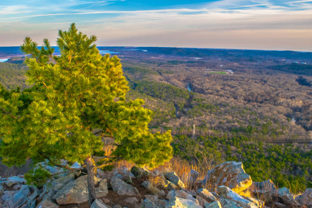 istock Outdoor Wilderness in Arkansas 952845514