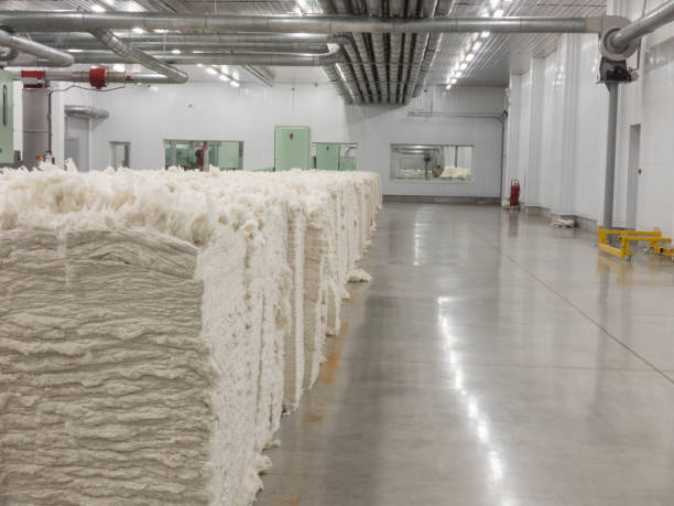 cardatrice in fabbrica tessile - textile industry textile wool textile factory foto e immagini stock