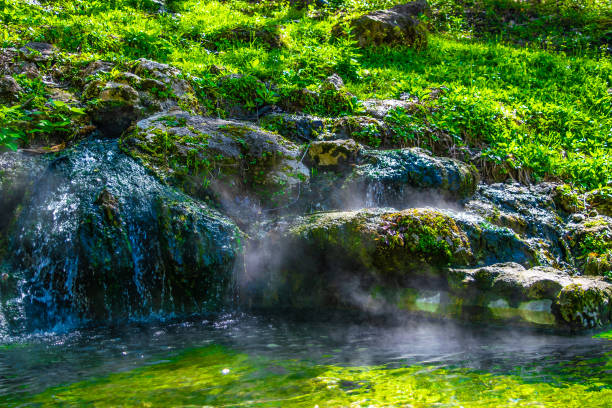 Hiking the outdoor wilderness in Arkansas while traveling