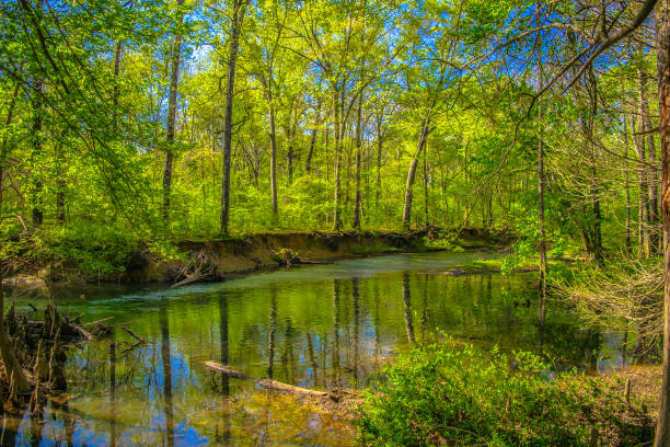 istock Outdoor Wilderness in Arkansas 952851750