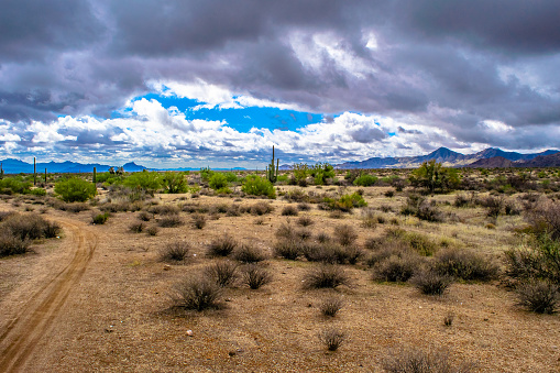 Hiking outdoors in McDowell Wilderness in Arizona