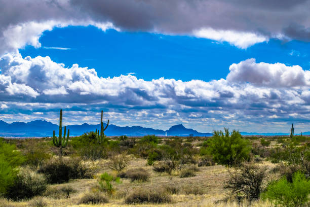 Hiking outdoors in McDowell Wilderness in Arizona
