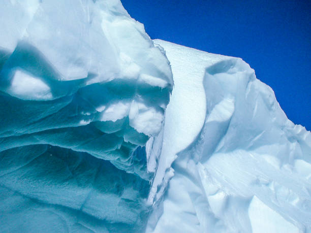 istock Antarctica Icebergs Floating Offshore 952862740
