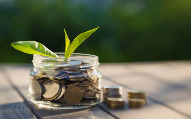 Growth of income and business. Glass jar with coins glass jar with coins and a fresh green sprout. Growth in revenue and business development yield sign photos stock pictures, royalty-free photos & images