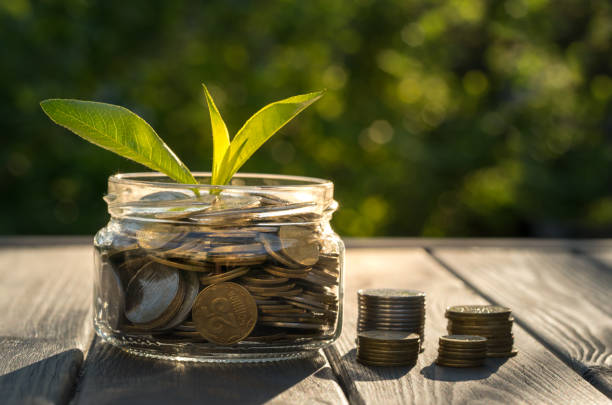 istock Business growth and coins 952874144