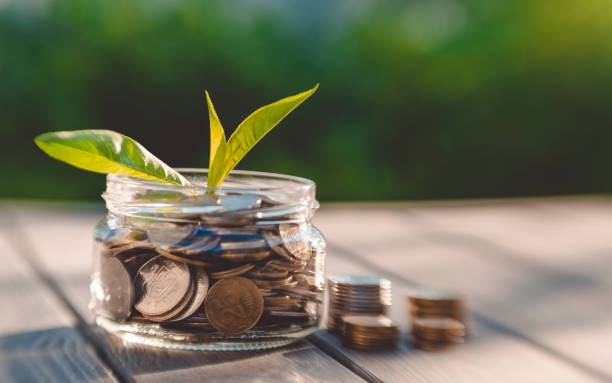 istock Growth of business and coins. Business Development Concept 952874152
