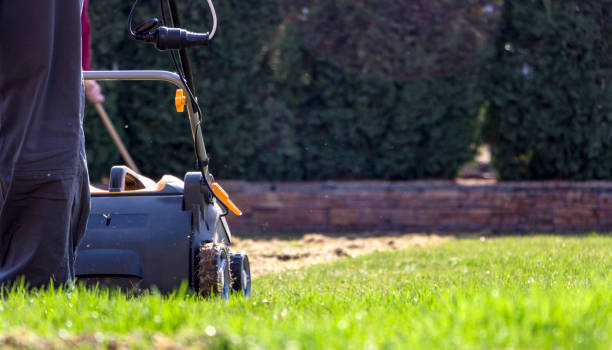 istock Gardener Operating Soil Aeration Machine on Grass Lawn 952875240