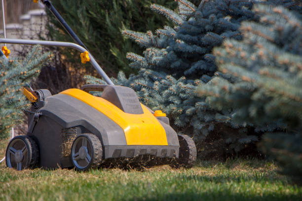 istock Gardener Operating Soil Aeration Machine on Grass Lawn 952875394
