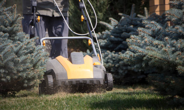 istock Gardener Operating Soil Aeration Machine on Grass Lawn 952875448