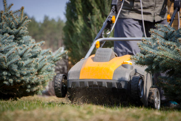 Gardener Operating Soil Aeration Machine on Grass Lawn