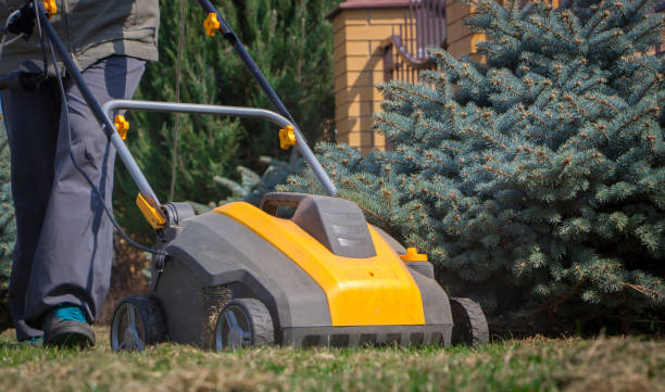 istock Gardener Operating Soil Aeration Machine on Grass Lawn 952877520