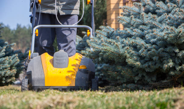 istock Gardener Operating Soil Aeration Machine on Grass Lawn 952877552