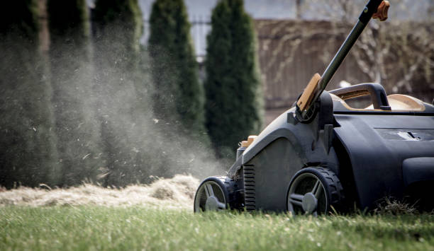 istock Gardener Operating Soil Aeration Machine on Grass Lawn 952877606