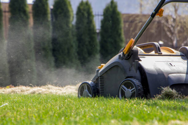 istock Gardener Operating Soil Aeration Machine on Grass Lawn 952877704