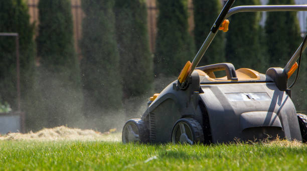 istock Gardener Operating Soil Aeration Machine on Grass Lawn 952877774