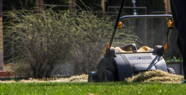 istock Gardener Operating Soil Aeration Machine on Grass Lawn 952877796