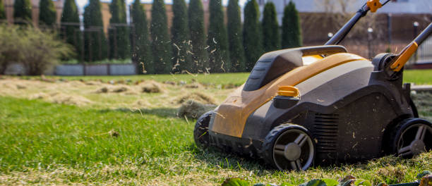 istock Gardener Operating Soil Aeration Machine on Grass Lawn 952877870