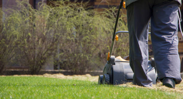 istock Gardener Operating Soil Aeration Machine on Grass Lawn 952878018