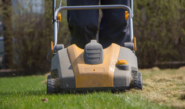 istock Gardener Operating Soil Aeration Machine on Grass Lawn 952878052