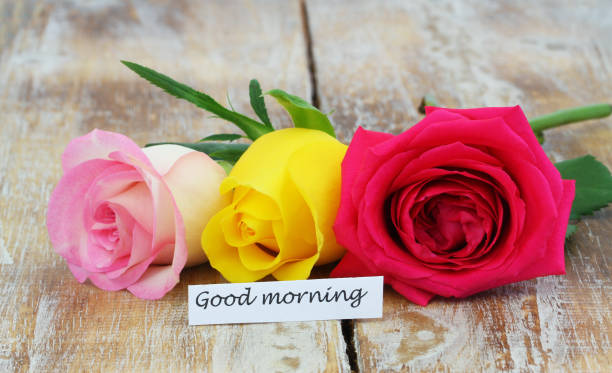 istock Good morning card with three colorful roses on rustic wooden surface 952884290