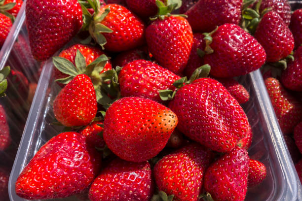 istock Colorful background of ripe strawberries 952887312