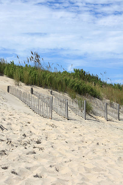 istock Sand Dunes in The Outer Banks 95289598