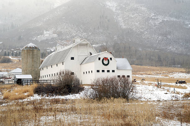 Stark image of an agricultural farm out house during winter snow fall
