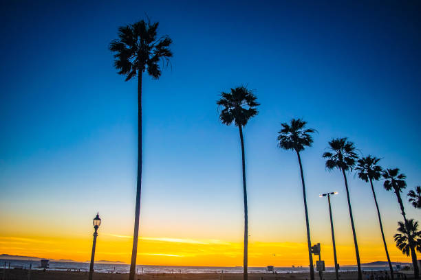 istock Beautiful Sunset in Southern California 952900280
