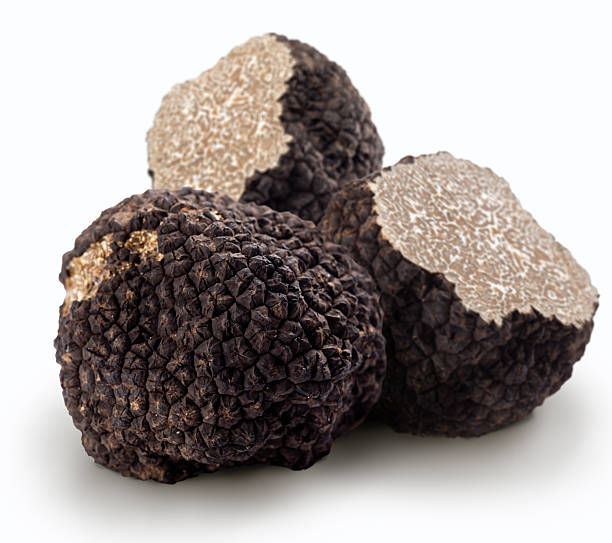 truffes noires sur fond blanc - truffe champignon photos et images de collection