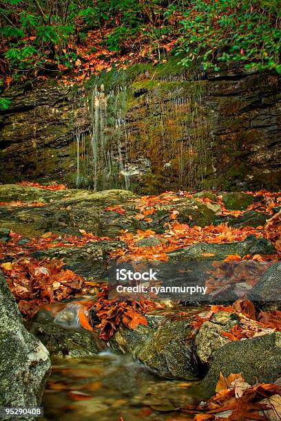 Foto de Outono Cena Em Highlands Nc e mais fotos de stock de Appalachia - Appalachia, Carolina do Norte - Estado dos EUA, Cascata