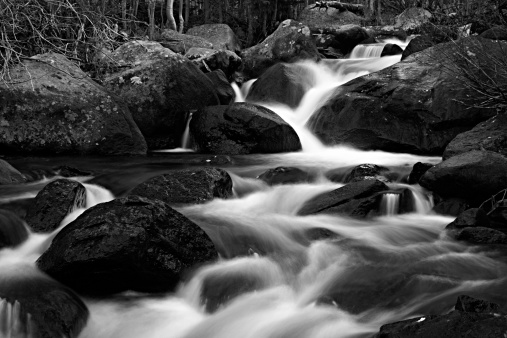 Kot waterfalls in black and white. Contrasts of water and vegetation