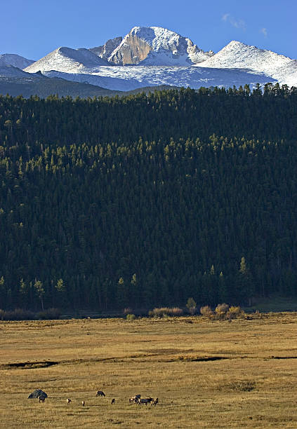 에우크 및 롱스 피크, 록키 마운틴 국립 공원, 콜로라도 - mountain peak long colorado mountain 뉴스 사진 이미지