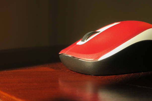 computer mouse