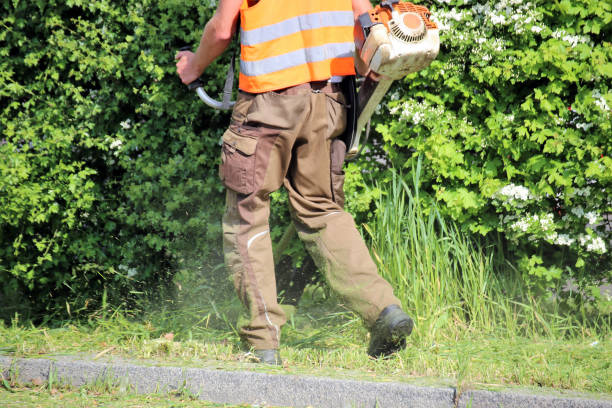 istock Outdoor maintenance, landscape maintenance 952908546