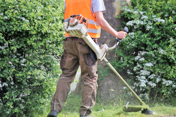 istock Outdoor maintenance, landscape maintenance 952908688