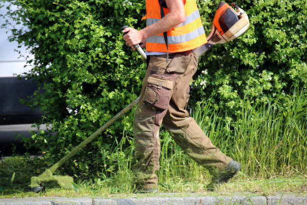 istock Outdoor maintenance, landscape maintenance 952908982