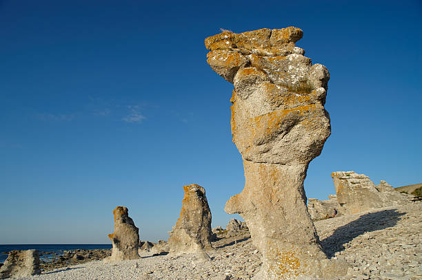 istock Raukar, chalkstone pillars at the island Gotland, Sweden 95291211