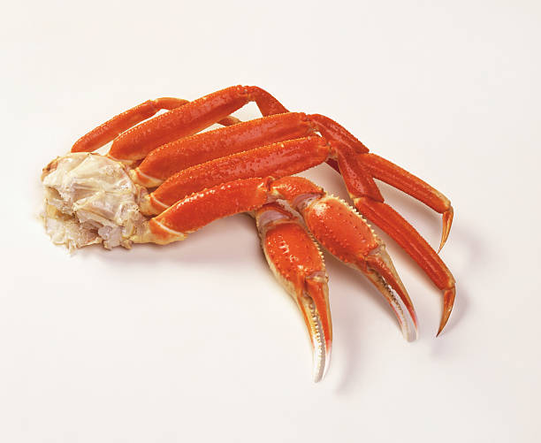istock Opilio Snow Crab Cooked Legs on White 95291481