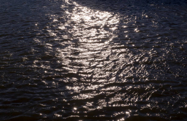 istock reflections of evening sun on rippled water. background, texture, nature 952917332