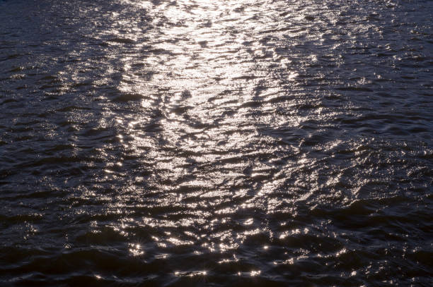 istock reflections of evening sun on rippled water. background, texture, nature 952917352