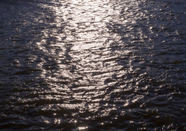 istock reflections of evening sun on rippled water. background, texture, nature 952917372
