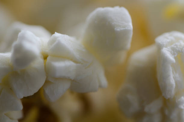 Close-up of popcorn, detail, Top view,macro